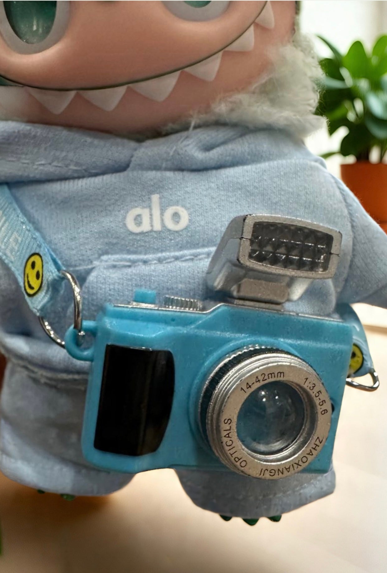 Wearable Camera