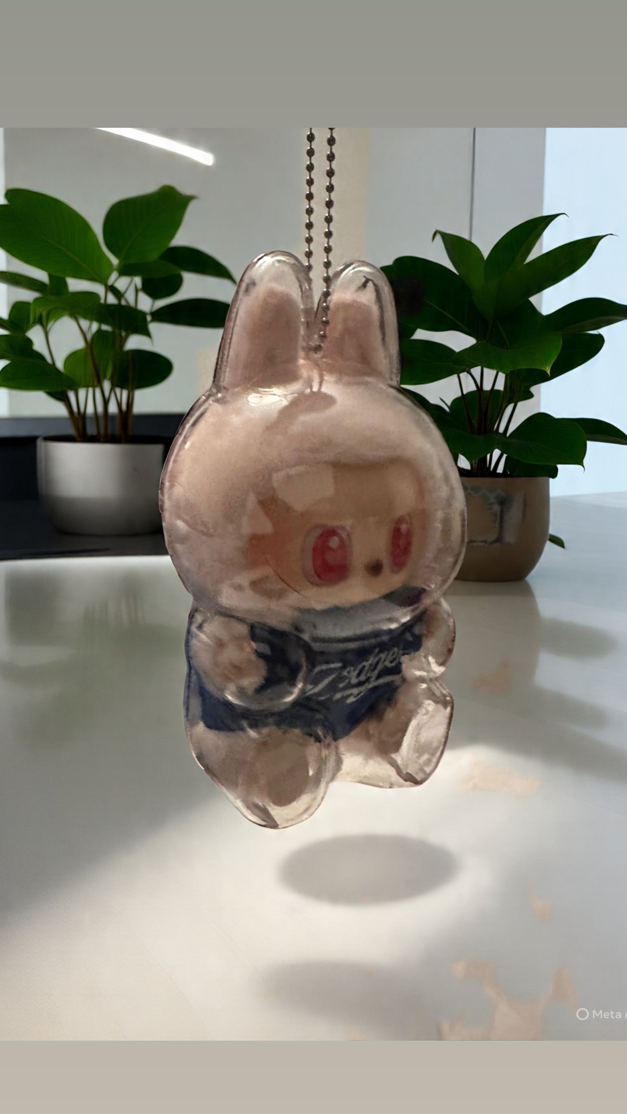 Clear Protective Case w/ Chain (HAS)